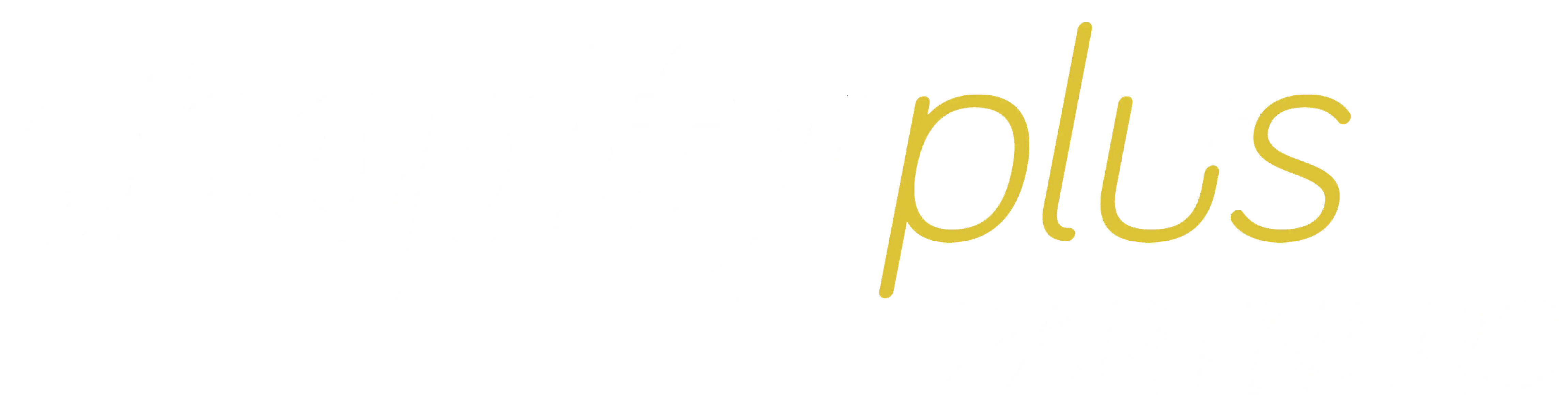 Shopify Plus Partner