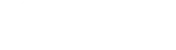 flutter logo